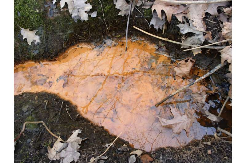 Rust Formed by Microbial Life Could Be One of Our Best Clues for Finding Life Beyond Earth