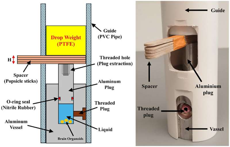 A New Tabletop Blast Device Brings Traumatic Brain Injury Research Into the Lab With Unexpected Simplicity