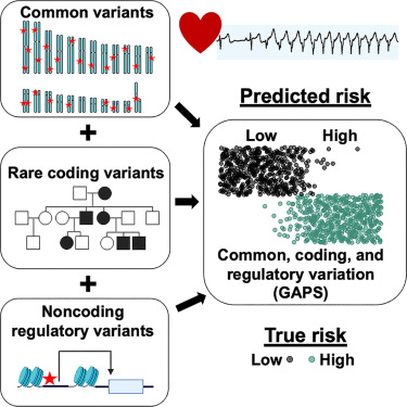New Genetic Testing Breakthrough Offers a Complete View of Arrhythmia and Sudden Cardiac Death Risk