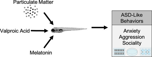 University of Mississippi Researchers Develop a New Zebrafish Model to Explore Autism Risk Factors