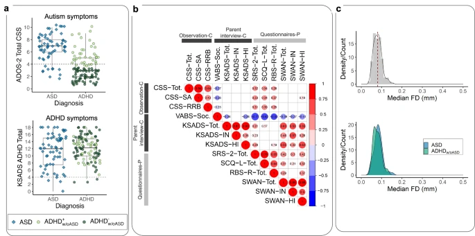 New Study Reveals a Shared Brain-Gene Pattern Behind Autism Symptom Severity in Children With Autism and ADHD