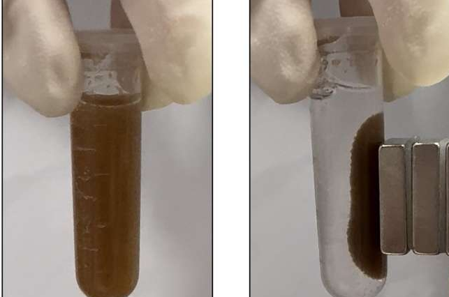 Bacterial “Pills” Offer a New Noninvasive Way to Detect Gut Diseases