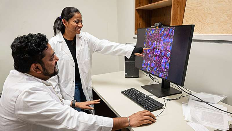 Brain Cleanup Pathway Offers a Promising New Target for Non-Opioid Chronic Pain Relief