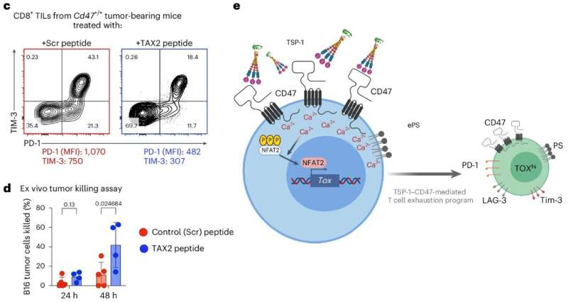 Blocking the TSP-1 and CD47 Interaction Could Help Revive Exhausted T Cells and Improve Cancer Immunotherapy