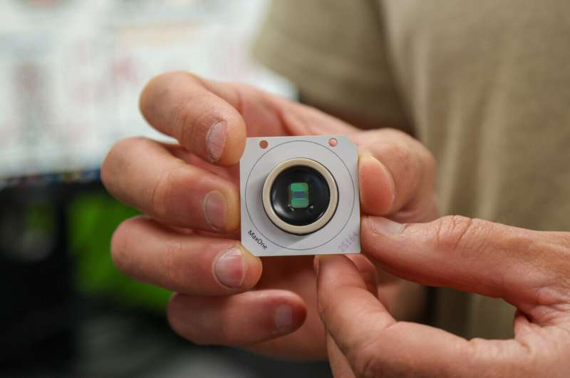 New Research Shows the Human Brain Begins Life With Preconfigured Instructions for Understanding the World