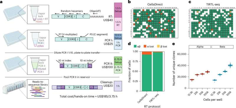A New Low-Cost T-Cell Sequencing Technique Lets Scientists Analyze Millions of Immune Cells at Once