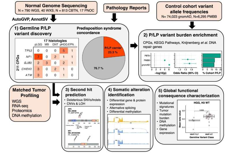 New Research Sheds Light on Genetic Factors Behind Pediatric Brain and Spinal Cord Tumors New Research Sheds Light on Genetic Factors Behind Pediatric Brain and Spinal Cord Tumors