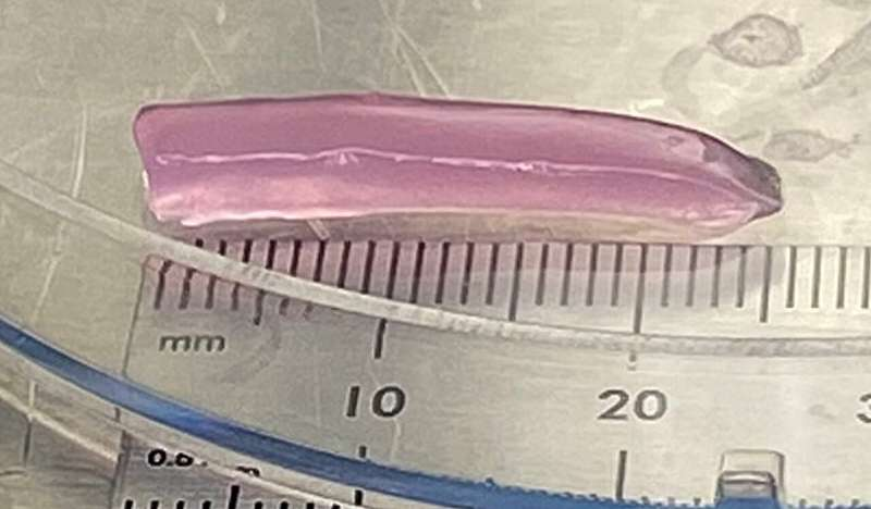 Researchers Develop Artificial Cartilage That More Closely Mimics the Structure and Flexibility of Natural Joints