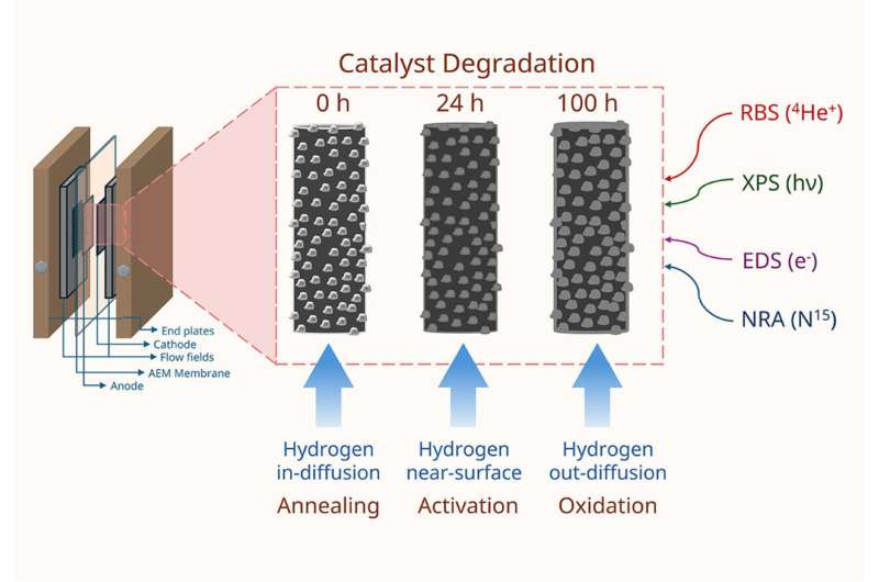 Low-Cost Nickel–Molybdenum Catalyst Shows Strong Potential to Reduce Green Hydrogen Production Costs