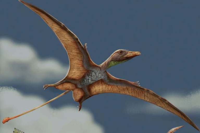 New Research Shows Pterosaurs and Birds Evolved Flight-Ready Brains in Completely Different Ways