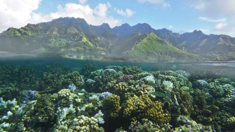 Island-Wide Research Reveals How Land Use and Rainfall Shape Lagoon Water Quality in Mo‘orea