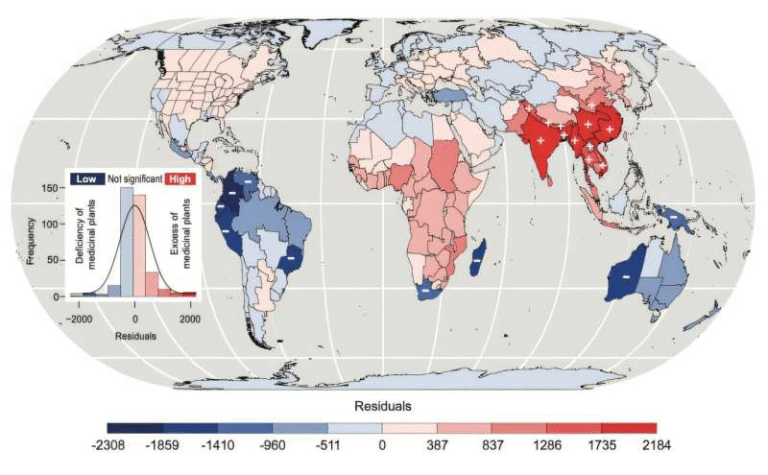 Mapping How Humanity Shaped the Global Diversity of Medicinal Plants