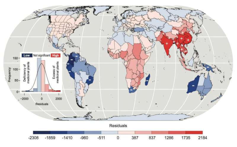 Mapping How Humanity Shaped the Global Diversity of Medicinal Plants