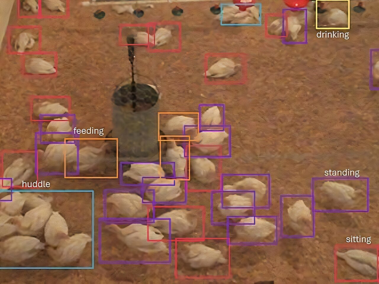 Drone-Powered AI Monitoring Brings a New Level of Behavioral Tracking to Turkey Farms