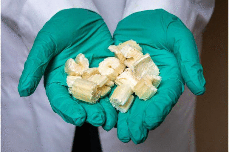 3D Printing Food Is Emerging as a Serious Solution for Nutrition, Waste, and Custom Meal Design