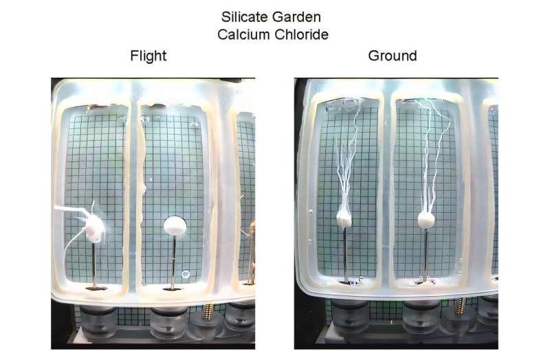 Life Might Be Best Understood as Matter That Uses Meaningful Information to Stay Alive