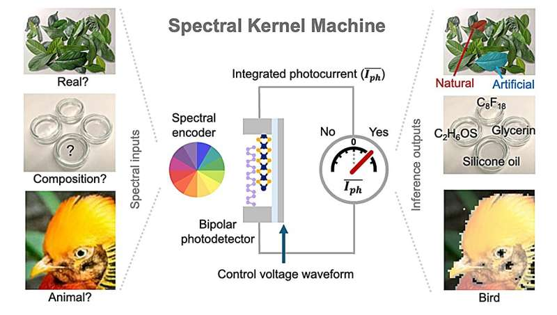 Intelligent Photodetectors Can Now Recognize Materials Directly From Light Spectra Like Trained Dogs