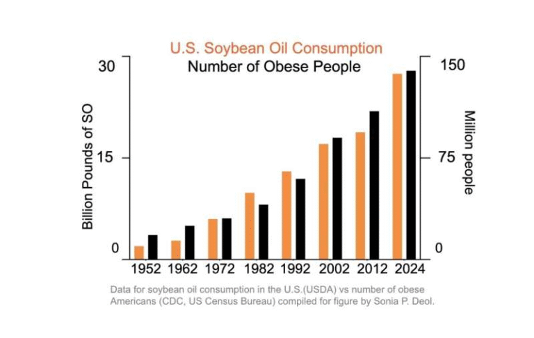 New Research Suggests America’s Most Popular Cooking Oil May Play a Role in Obesity