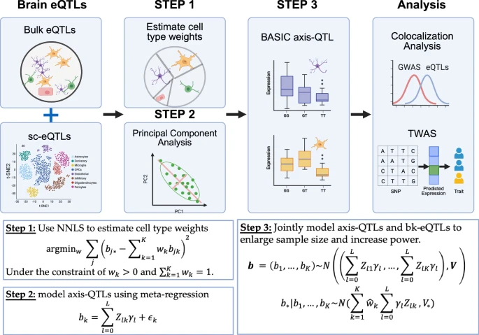 New BASIC Technique Reveals How Genetic Variants Drive Neurodegenerative Disease Risk
