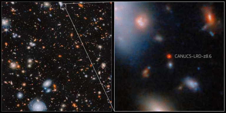 Webb Spots an Unexpectedly Massive and Fast-Growing Black Hole in the Early Universe