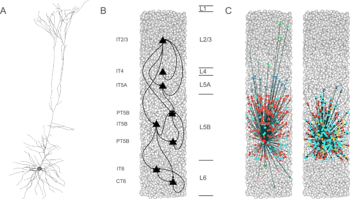 How Supercomputers Are Helping Scientists Pinpoint New Treatment Targets for Parkinson’s Disease