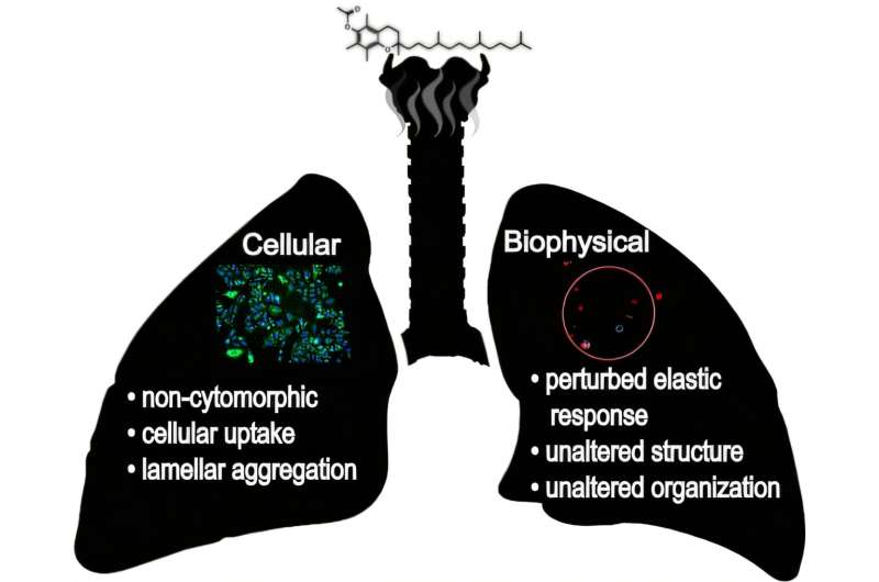 Neutron Scattering Research Reveals How Vitamin E Acetate From Vaping Damages Lung Membranes