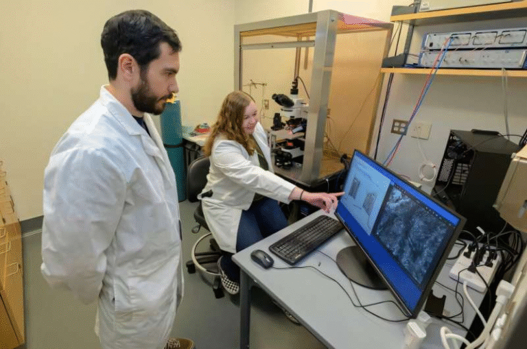 Light-Based Brain Therapy Shows Promise in Reducing Opioid Cravings and Preventing Relapse