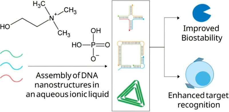 DNA Nanostructures Get a Major Upgrade With Ionic Liquids That Boost Stability and Targeting