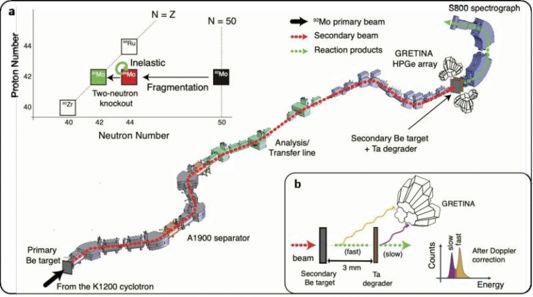 Scientists Discover a New Nuclear Island Where Long-Trusted Magic Numbers Stop Working