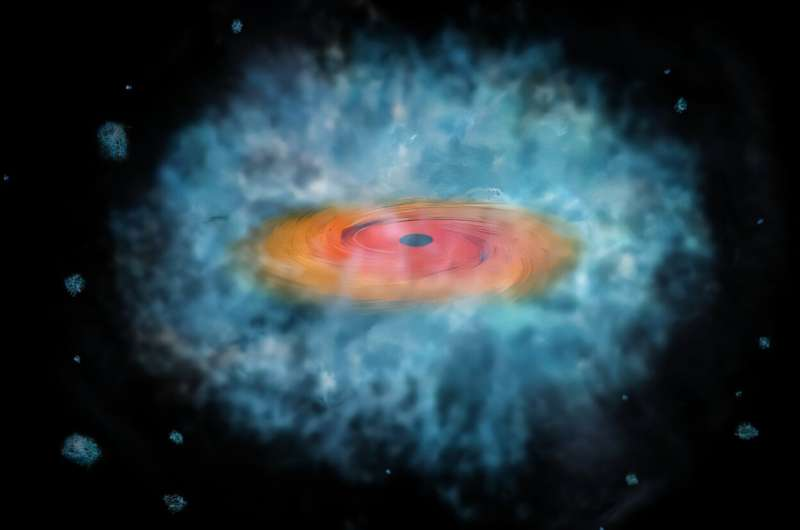 Searching for Wandering Black Holes in Dwarf Galaxies Reveals Confirmations, Imposters, and New Mysteries