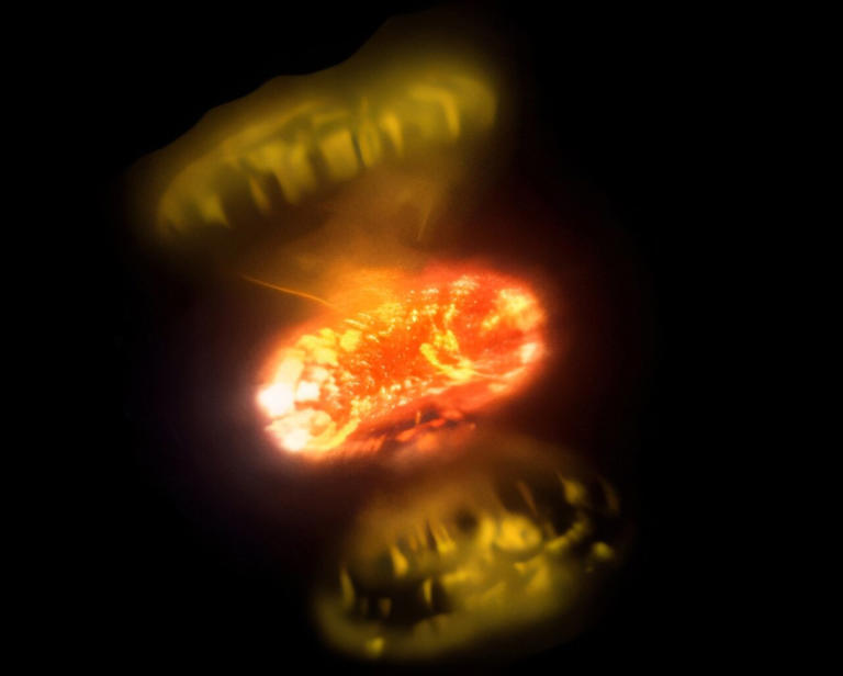 Astronomers Are Finally Watching Stars Explode in Real Time With Unprecedented Detail