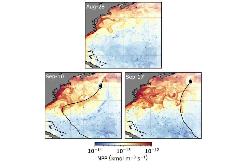 Scientists Finally Show How Powerful Tropical Cyclones Influence the Ocean Carbon Cycle