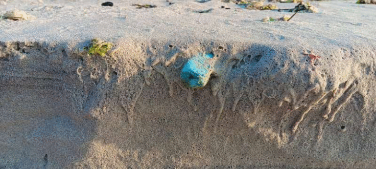 Microplastics in the Ocean May Be Quietly Distorting Our Understanding of the Carbon Cycle