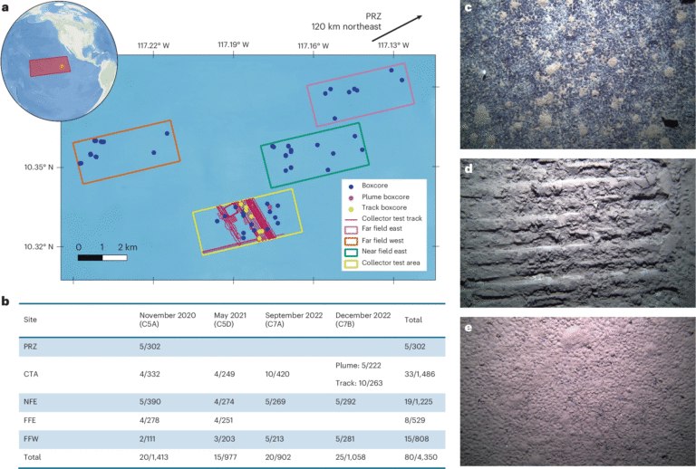 Deep-Sea Mining Test Linked to a 37% Drop in Seafloor Animals Raises Fresh Environmental Questions