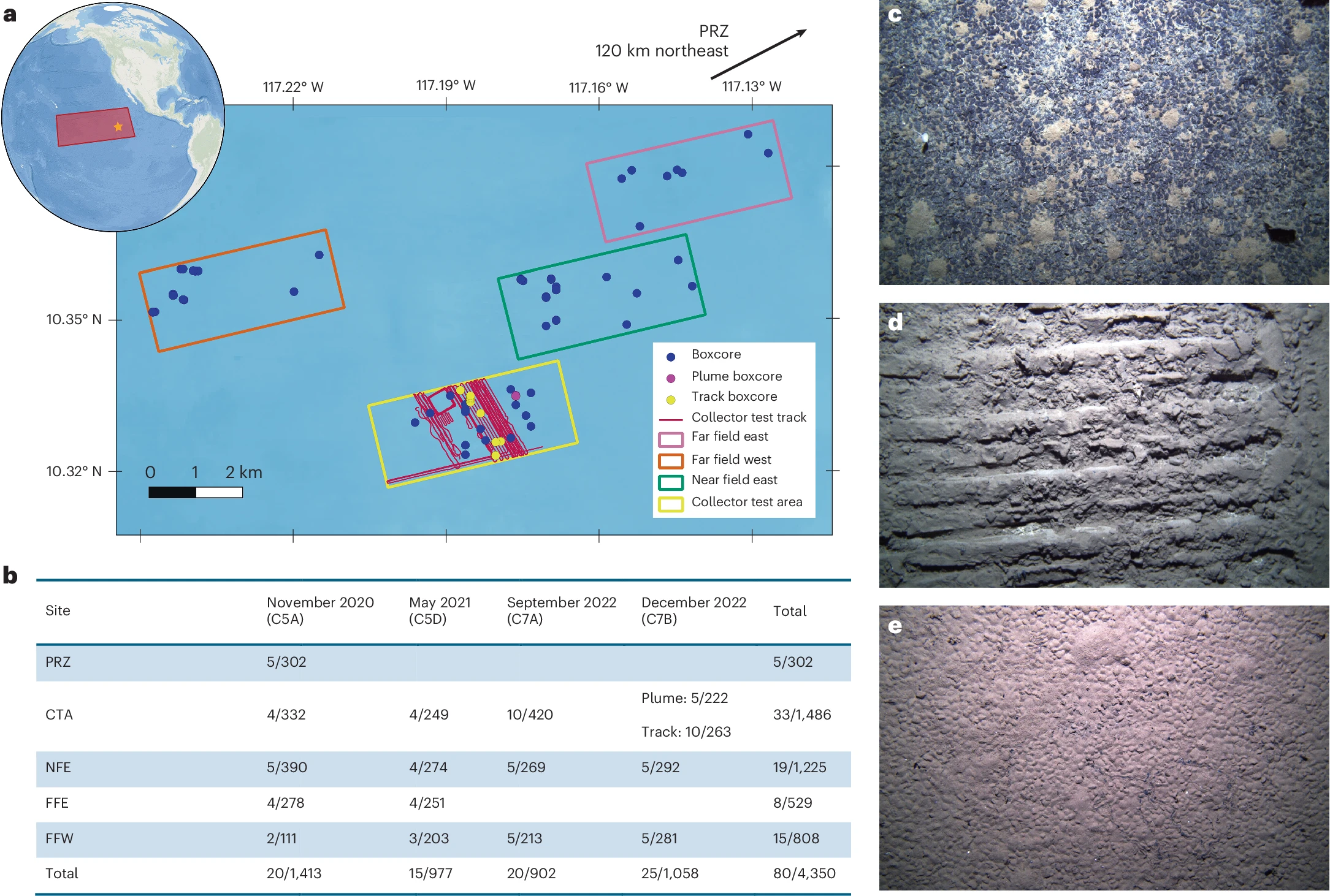 Deep-Sea Mining Test Linked to a 37% Drop in Seafloor Animals Raises Fresh Environmental Questions