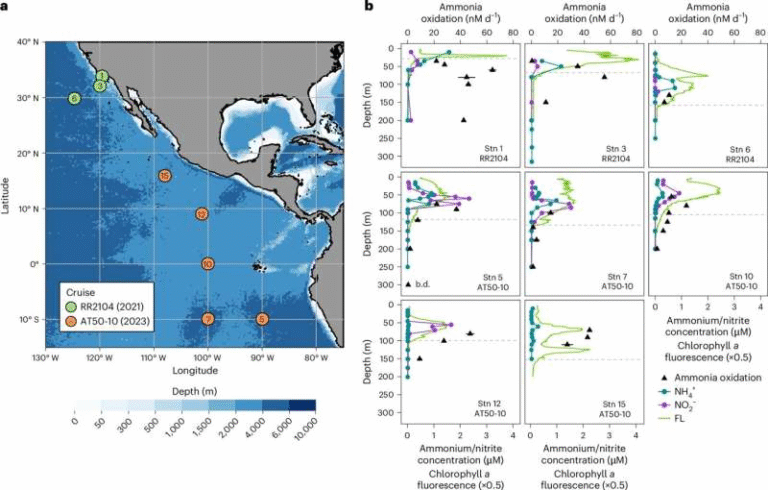 Scientists Discover That Deep Ocean Carbon Fixation Works Very Differently Than We Thought