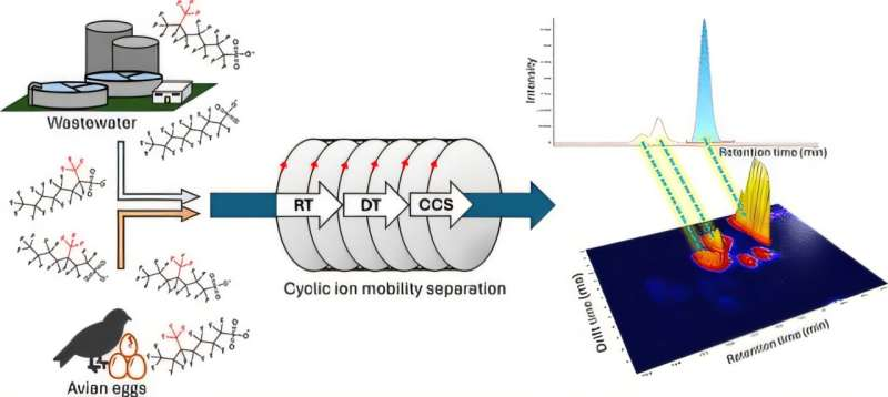 Tracking PFAS Through the Food Web Reveals Why Not All “Forever Chemicals” Behave the Same