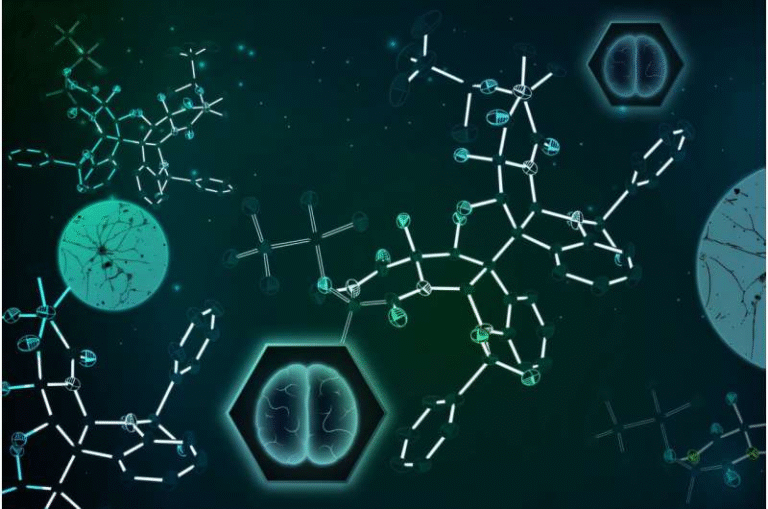MIT Chemists Finally Synthesize Verticillin A, a Fungal Compound Showing Promise Against Pediatric Brain Cancer