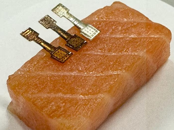 A New Microneedle Sensor Can Tell How Fresh Your Fish Is in Under Two Minutes