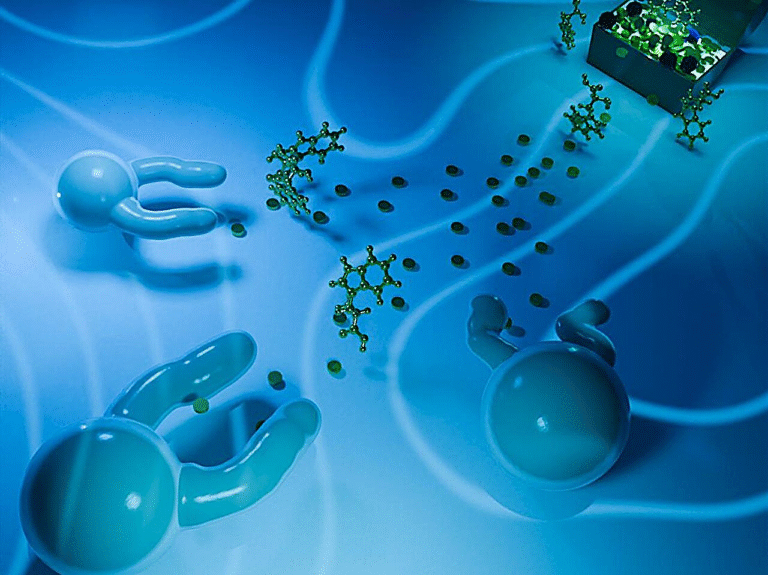 Oil-in-Water Droplets Are Showing Cell-Like Behavior by Growing Arm-Like Extensions