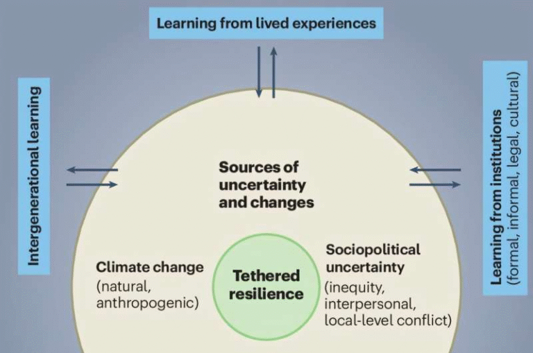 Climate Migration Is More Than Staying or Leaving and Researchers Call This Middle Path Tethered Resilience