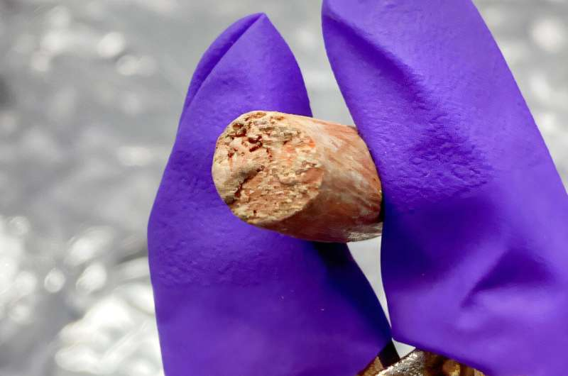 Ancient Pottery Residues May Have Misled Archaeologists About Olive Oil for Decades