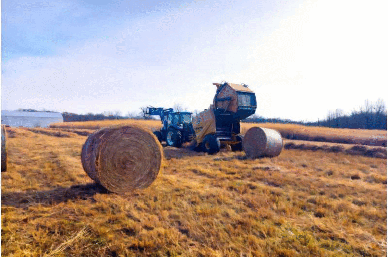 University of Illinois Research Shows How Smarter Harvesting and Nutrient Management Can Boost Bioenergy Crop Profits