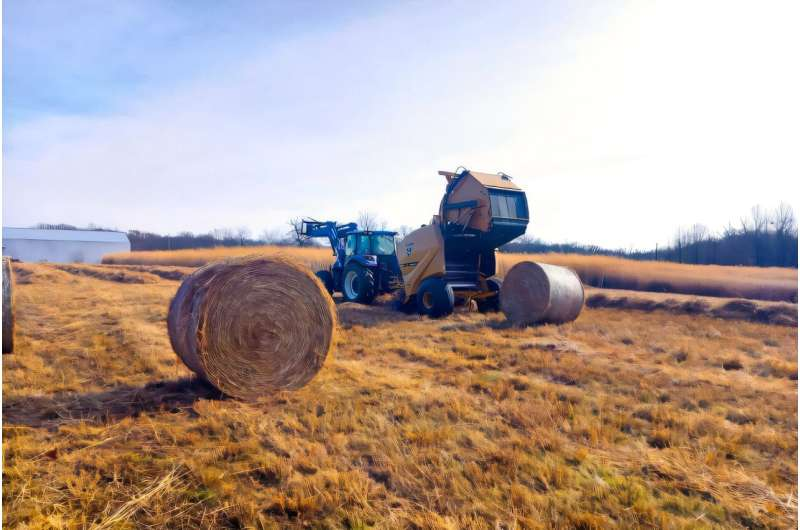 University of Illinois Research Shows How Smarter Harvesting and Nutrient Management Can Boost Bioenergy Crop Profits