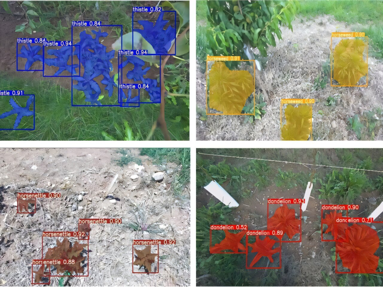 Penn State Researchers Build an AI Vision System That Helps Robots Identify and Track Weeds in Apple Orchards