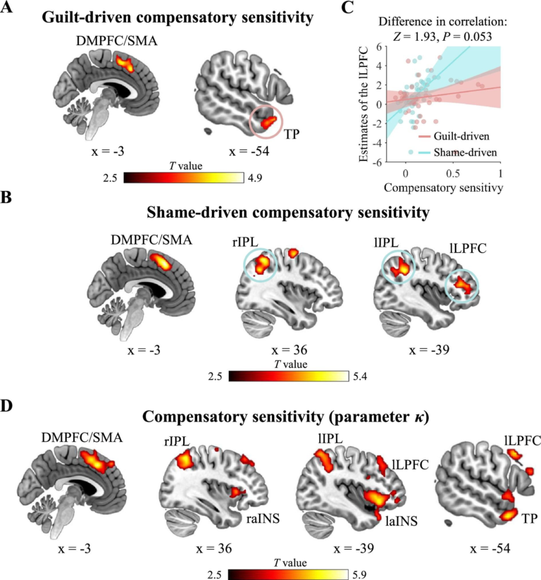 Scientists Reveal How the Brain Turns Guilt and Shame Into Real-World Behavior