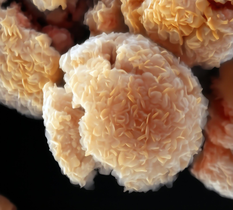 New Research Reinvents MXene Synthesis and Slashes Costs by Orders of Magnitude