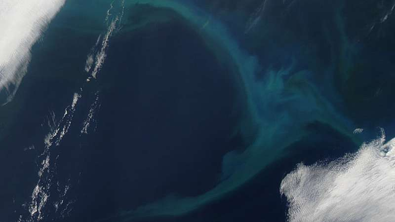 Scientists Discover an Unexpected Wintertime Spike in Oceanic Iron Levels Near Hawaii