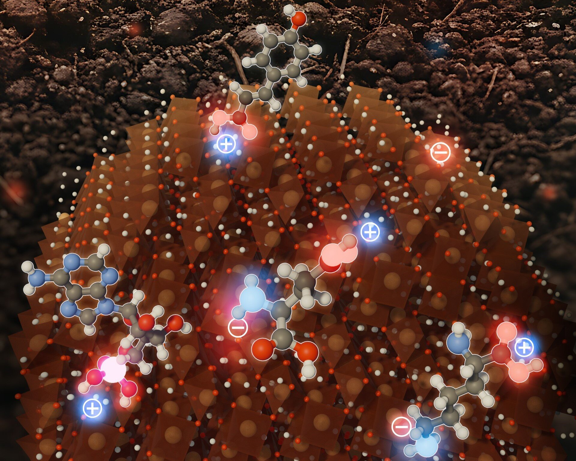 Hidden Chemistry of Iron Minerals Reveals How Soils Lock Away Massive Amounts of Carbon