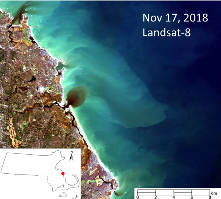 Ocean Sediments Play a Crucial Role in the Survival of Northeastern US Salt Marshes